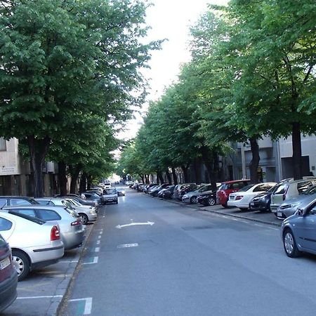 Botanical Garden Apartments 贝尔格莱德 外观 照片
